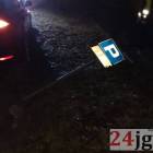 Fotka nr 4 z 6