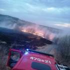 Fotka nr 2 z 10