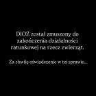 Fotka nr 0 z 2