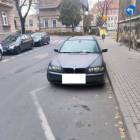 Fotka nr 2 z 7