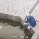 Fotka nr 1 z 2