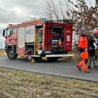 Fotka nr 5 z 15