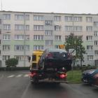 fot. Straż Miejska Jelenia Góra