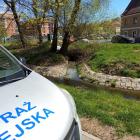 fot. Straż Miejska Jelenia Góra