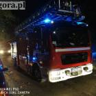 Fotka nr 4 z 11