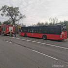 Fotka nr 3 z 13