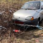 Fotka nr 2 z 5