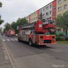 Fotka nr 5 z 10