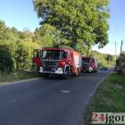 Fotka nr 5 z 7