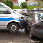 Fotka nr 2 z 7