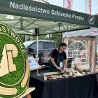 zdjęcie nr 7