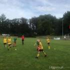Fotka nr 4 z 13