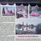 Fotka nr 4 z 19