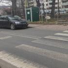fot. Straż Miejska Jelenia Góra