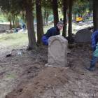 zdjęcie nr 49