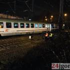 Fotka nr 1 z 11