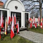 zdjęcie nr 12