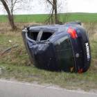 Fotka nr 2 z 4