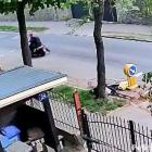 fot. Policja Jelenia Góra