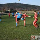 Fotka nr 3 z 15