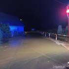 Fotka nr 4 z 12
