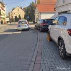 Fotka nr 2 z 4