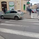 fot. Straż Miejska Jelenia Góra
