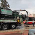 Fotka nr 3 z 8