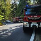 Fotka nr 1 z 2