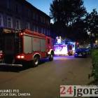 zdjęcie nr 7
