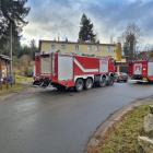 Fotka nr 5 z 6