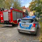 Fotka nr 2 z 12