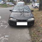 Fotka nr 3 z 11