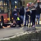 Fotka nr 5 z 6