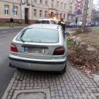Fotka nr 2 z 5
