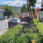Fotka nr 5 z 8