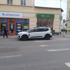 fot. Straż Miejska Jelenia Góra