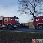 Fotka nr 3 z 15