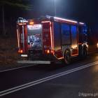 Fotka nr 4 z 9