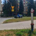 zdjęcie nr 7