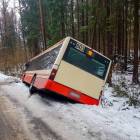 Fotka nr 4 z 12