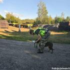 Fotka nr 5 z 7