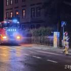 Fotka nr 3 z 10