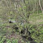 zdjęcie nr 9