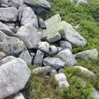 fot. Karkonosze GO