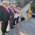 zdjęcie nr 15