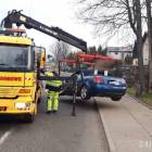 Fotka nr 1 z 3