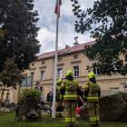 zdjęcie nr 13