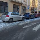 fot. Straż Miejska Jelenia Góra
