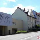 Fotka nr 5 z 14